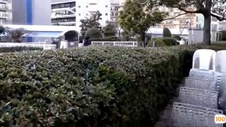 日本不卡一区二区dvd🈲成人影视免费视频片🈲郭美美 无码在线播放